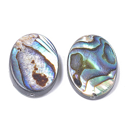 アワビ殻/パウア殻ビーズ  オーバル  18x13x3.5mm  穴：1mm&nbsp;SSHEL-T008-14