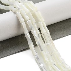 天然トロチッドシェル/トロカスシェルビーズ連売り  竹の共同  ホワイトスモーク  12x4.8mm  穴：0.6mm  約33個/連  15.35''（39センチメートル）&nbsp;BSHE-G038-03