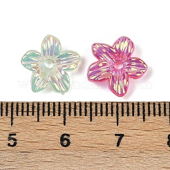 アクリルビーズキャップ  虹色の  5  - 花びらの花  ミックスカラー  11.5x3.5mm  穴：1.4mm&nbsp;MACR-L008-05