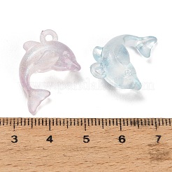 光沢のある半透明のアクリル製ペンダント  イルカのチャーム  暗闇の中で輝く  ミックスカラー  25x18x8.5mm  穴：2mm  約574個/500g&nbsp;AC-CBA5040-07
