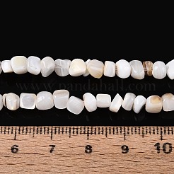天然淡水シェルビーズ連売り  ナゲット  貝殻色  0.5~8x3~7x3~7mm  穴：1mm  約86~108個/連  14.76~15.16インチ（37.5~38.5cm）&nbsp;SHEL-N037-04K