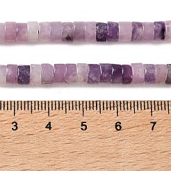 天然レピドライト/パープルマイカストーンビーズ連売り  ディスク  ヒシビーズ  6x3.5mm  穴：0.8mm  約113個/連  15.35''（39センチメートル）&nbsp;G-M420-A19-01
