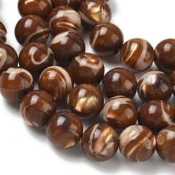 天然ニシキウズガイシェルビーズ連売り  スムーズなラウンド  ココナッツブラウン  10mm  穴：1mm  約40個/連  14.96''（38センチメートル）&nbsp;SH-CBAFEDD-02C