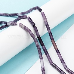 天然レピドライト/パープルマイカストーンビーズ連売り  コラム  13~14x4mm  穴：1.2mm  約29~30個/連  15.16''~15.75''（38.5~40センチメートル）&nbsp;G-F247-45