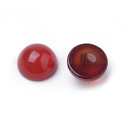 天然石カーネリアンカボション  染め  半円/ドーム  6x3~4mm&nbsp;G-R416-6mm-56