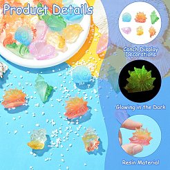 30個 6スタイル 蓄光樹脂製巻貝ディスプレイ装飾  暗闇で光る  水族館の風景、水槽の装飾用  暗闇で光る  ミックスカラー  21.5~30.5x10.5~20x13~21mm  5個/スタイル&nbsp;DJEW-CJ0001-37