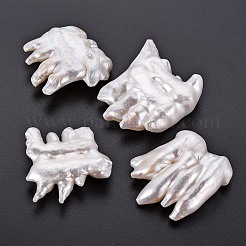 ナチュラルケシパールビーズ  養殖淡水パール  穴なし/ドリルなし  くし  貝殻色  33~38x32~33x10~14mm&nbsp;PEAR-N020-E01