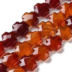 天然石赤瑪瑙ビーズ連売り  多面カット  クロス  染め  12~13x12~12.5x5~6mm  穴：1.4mm  約17個/連  8.27インチ（21cm）&nbsp;G-K357-C05-01