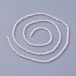 シェルビーズ連売り  多面カット  ラウンド  2~2.3mm  穴：0.4mm  約178個/連  14.7インチ（375cm）&nbsp;SSHEL-E571-38-2mm