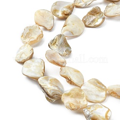 手作りのシェルビーズ連売り  菱形  ゴールデンロッド  貝殻色  18~20x14~20x3~12mm  穴：1mm  約18~20個/連  14.76~15.35インチ（37.5~39cm）&nbsp;PBB471-1