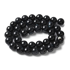 天然ブラックリップシェルビーズ連売り  染め  ラウンド  ブラック  10mm  穴：1mm  約39個/連  14.96インチ（38cm）&nbsp;SSHEL-C013-01D