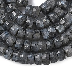 天然ラルビカイトヘイシビーズ連売り  多面カット  ロンデル  4x2mm  穴：1mm  約161個/連  14.76''（37.5センチメートル）&nbsp;G-A299-A04-01