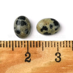 天然ダルメシアンジャスパーカボション  オーバル  8~8.5x6~6.5x2.5~3.5mm&nbsp;G-A094-01B-51
