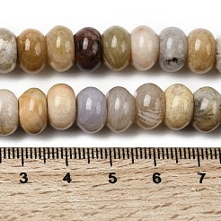 天然化石サンゴのビーズ連売り  ロンデル  10.5x6.5mm  穴：0.8mm  約59個/連  14.69''（37.3センチメートル）&nbsp;G-A280-A08-03