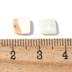 天然ホワイトシェルとピンクシェルのカボション  正方形  ミックスカラー  6~6.5x6.5x1.5~3.5mm&nbsp;SSHEL-Z003-01