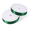 2 Rolls Baking Paint Iron Wire, Round, Green, 0.5mm, 24 Gauge, about 262.47 Feet(80m)/Roll
