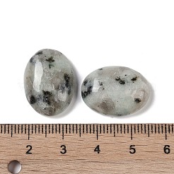 天然セサミジャスパーカボション  オーバル  20~20.8x15~15.5x5.8~6.5mm&nbsp;G-B080-01A-04