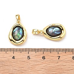 真鍮パヴェ天然パウア貝ペンダント  楕円形のチャーム  18KGP本金メッキ  18.5x13x4mm  穴：4x3mm&nbsp;KK-B129-08G