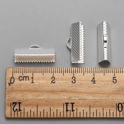 アイアン製カシメリボン止めエンドパーツ  銀色のメッキ  8x20mm  穴：2mm&nbsp;X-IFIN-S008-S