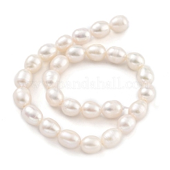 天然養殖淡水パールビーズ連売り  ライス  グレード3 A  ホワイト  5~5.5mm  穴：0.6mm  約27個/連  6.89''（17.5センチメートル）&nbsp;PEAR-P062-09C