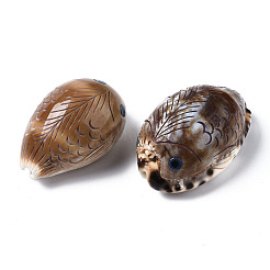 プリントされた天然のカウリーシェルビーズ  穴がない  魚  淡い茶色  51~58x33~37x28~32mm&nbsp;SSHEL-Q314-001