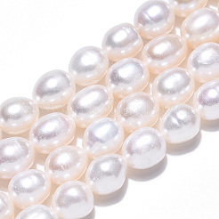天然養殖淡水パールビーズ連売り  ライス  貝殻色  7.5~8x6.5~7mm  穴：0.7~0.8mm  約22~23個/連  7.09インチ（18cm）&nbsp;PEAR-N012-06N