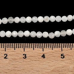 天然レインボー ムーンストーン ビーズ 連売り  ラウンド  多面カット  3~3.5mm  穴：0.7mm  約63~66個/連  7.48~7.83''（19~19.9センチメートル）&nbsp;G-B168-A11-3mm