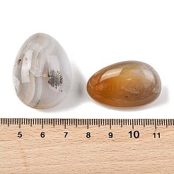 天然な海の碧玉ビーズ  転がった石  穴なし/ドリルなし  ナゲット  20~56x18~30.5x8~28mm&nbsp;G-G348-01B-38