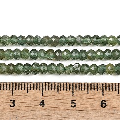 天然のグリーンアパタイトビーズ連売り  多面カット  ロンデル  4x3mm  穴：0.7mm  約120個/連  14.57~14.96''（37~38センチメートル）&nbsp;G-E194-04-01