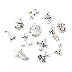 48pcs12スタイルチベットスタイルアロイペンダント  スポーツ用品  アンティークシルバー  15~24.5x11~25x3~5mm  穴：1.5~2mm&nbsp;TIBE-FP0001-15