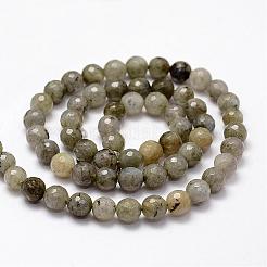 多面カット天然ラブラドライトビーズ連売り  ラウンド  6mm  穴：1mm  約62個/連  14.8インチ&nbsp;G-F364-17-6mm