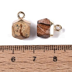 天然石ピクチャージャスパーペンダント  ポリゴンのチャーム  金色の真鍮ループ  11.5~14x7~9.5x7~9.5mm  穴：1.6~1.8mm&nbsp;G-N359-18G-13