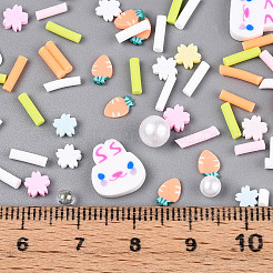 手作り樹脂クレイカボション  プラスチック付き  ウサギ＆ニンジン  ミックスカラー  3~16x1~10x0.3~6mm&nbsp;CLAY-N013-19