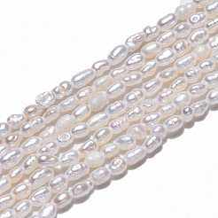 天然養殖淡水パールビーズ連売り  ライス  貝殻色  2.5~4.5x1.5~2.5mm  穴：0.5mm  約79~81個/連  13.78インチ（35cm）&nbsp;PEAR-N012-02H