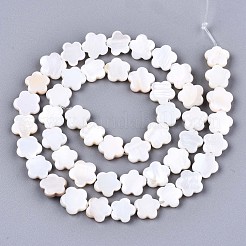 天然淡水シェルビーズ連売り  花  貝殻色  8x8x2.5mm  穴：0.6mm  約46~48個/連  14.96インチ（38cm）&nbsp;X-SHEL-S276-111