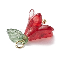 ガラス製アクリルイミテーションパールペンダント  花のチャーム  ミックスカラー  15~15.5x13x13mm  穴：2mm&nbsp;PALLOY-TA00097