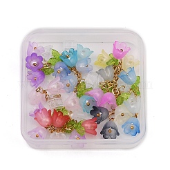 10 個のプラスチックモバイル防塵プラグ  アクリルペンダント  ミックスカラー  4.9cm  10個/セット&nbsp;PALLOY-OC00033