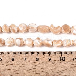 天然トロチッドシェル/トロカスシェルビーズ連売り  ナゲット  小麦  6~11x6~10x6~10mm  穴：0.7mm  約46~48個/連  15.16~15.55インチ（38.5~39.5cm）&nbsp;SSHEL-N040-13