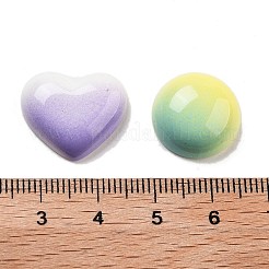 グラデーションカラー不透明樹脂デコデンカボション  星/フラットラウンド/ハート  混合図形  ミックスカラー  16x16~19x5~7.5mm&nbsp;RESI-S04-02