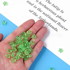 透明なアクリルビーズ  スター  薄緑  9x9.5x5.5mm  穴：2mm  約2000個/500g&nbsp;MACR-S373-45-B02