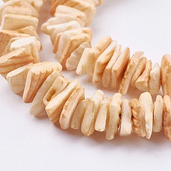 天然石シーシェルビーズ連売り  染め  四角い石ビーズ  ミックスカラー  1~3.5x4.5~10x4.5~10mm  穴：0.5mm  16.1インチ〜16.9インチ&nbsp;BSHE-K012-08