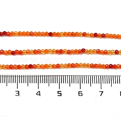 透明ガラスビーズ連売り  小さなビーズ  多面カット  ラウンド  サンゴ  2mm  穴：0.6mm  約188個/連  14.09''（35.8センチメートル）&nbsp;GLAA-H027-01I