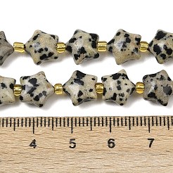天然石ダルメシアンジャスパービーズ連売り  チャンキースター  シードビーズで  9~9.5x10x6mm  穴：0.8~0.9mm  約35個/連  14.72~15''（37.4~38.1センチメートル）&nbsp;G-Z080-A08-10mm