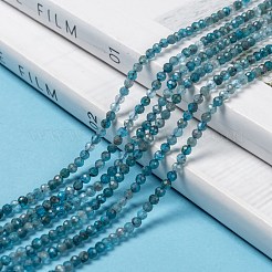 天然石アパタイトビーズ連売り  多面カット  ラウンド  2mm  穴：0.5mm  約175個/連  14.9インチ（38cm）&nbsp;G-K185-02