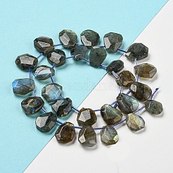 天然石ラブラドライトビーズ連売り  多面カット  ティアドロップ  トップ掘削  10~18x8~13x3~7mm  穴：1mm  約27個/連  15.79''~15.98''（40.1~40.6センチメートル）&nbsp;G-Z040-A03-01