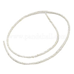 天然トロチッドシェル/トロカスシェルビーズ連売り  ラウンド  2mm  穴：0.2mm  約212個/連  15.04''（38.2センチメートル）&nbsp;BSHE-Z005-01