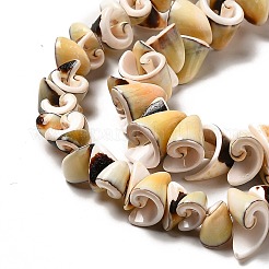 天然石シーシェルビーズ連売り  スパイラルビーズ  ランダムスタイル  ライトカーキ  7~14.5x5~12.5x3.5~13mm  穴：1.2mm  約64~85個/連  15.75~15.94''（40~40.5センチメートル）&nbsp;BSHE-E026-14