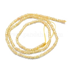 天然黄色のアパタイトビーズ連売り  多面カット  キューブ  2x2x2mm  穴：0.6mm  約182個/連  15.16''~15.55''（38.5~39.5センチメートル）&nbsp;G-P457-B01-13