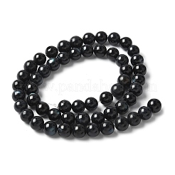 天然ブラックリップシェルビーズ連売り  染め  ラウンド  ブラック  7~7.5mm  穴：1mm  約54個/連  14.96インチ（38cm）&nbsp;SSHEL-C013-01B