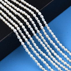 天然養殖淡水パールビーズ連売り  ライス  貝殻色  3~3.5x2.5mm  穴：0.6mm  約90~92個/連  13.78インチ（35cm）&nbsp;PEAR-N012-02G